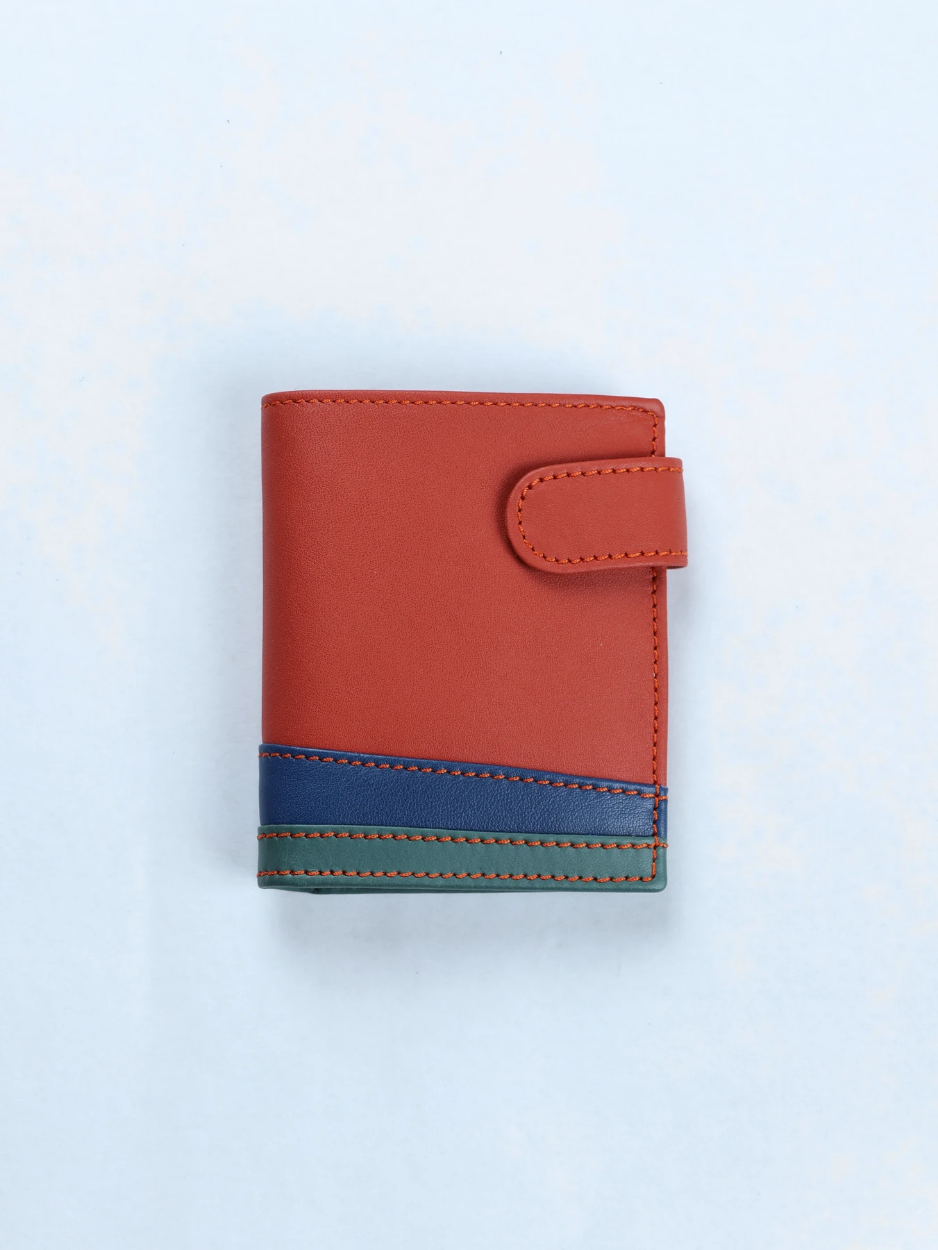 Cartera tricolor de piel · Caldera-Azul-Verde · imagen 1